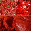Güneş Kurutma Biber Salçası Acı & Tatlı 1 KG